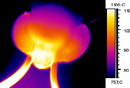 Flir Thermography
